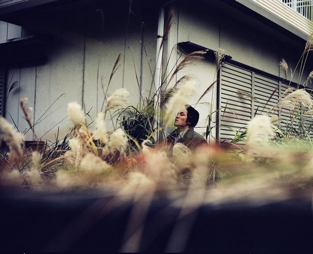 untitled (Animism) from the series real indications
