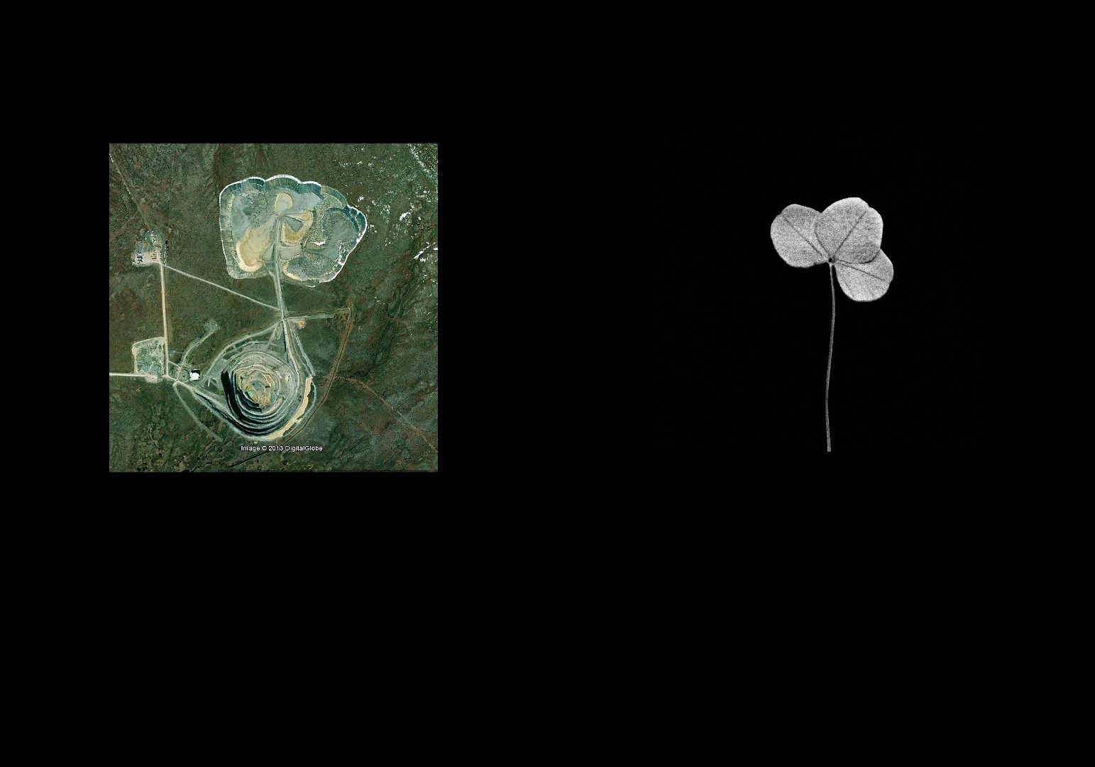 Earth Herbarium