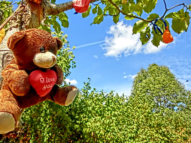 "WE LOVE YOU"