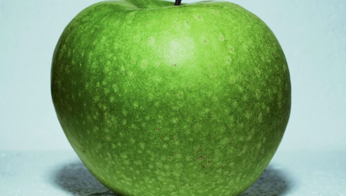 Untitled, from the series "Lebensmittel" (Food stuff). Winner of the 5th Prix Pictet © Michael Schmidt