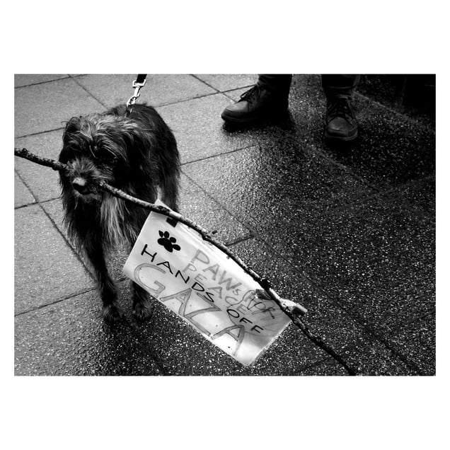 Free Palestine Demonstration - 2025