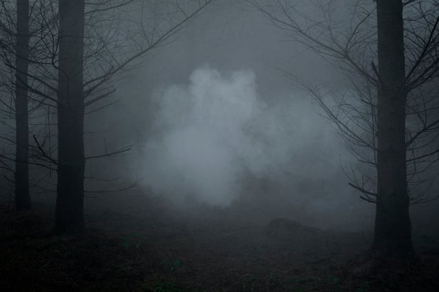 Between The Trees Tyriptych 1© Ellie Davies