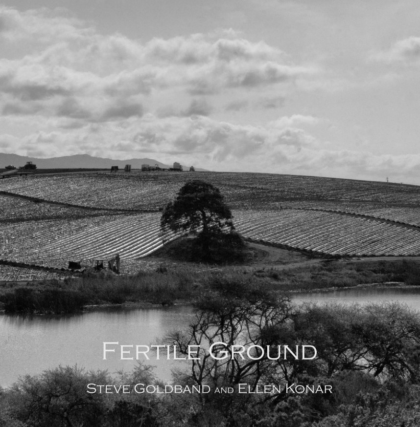Fertile Ground