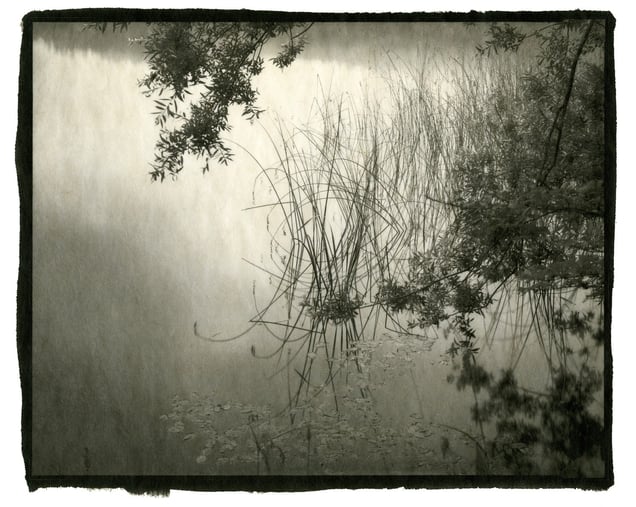 © Nobuyuki Kobayashi