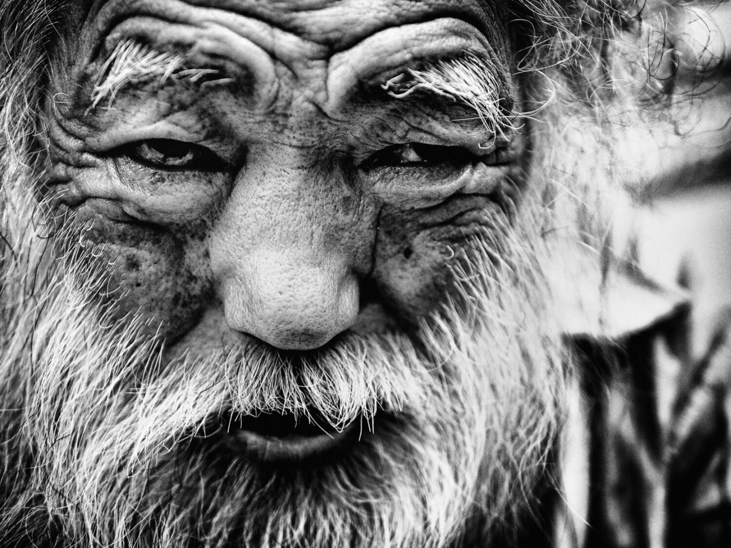 LensCulture Editor Review