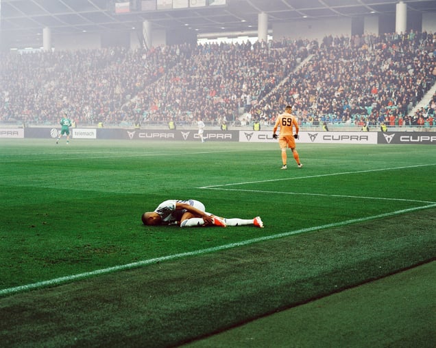 Stadion Stožice 3, 2024