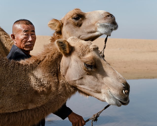 Camel Guide at Scenic Area, Wuhai, Inner Mongolia