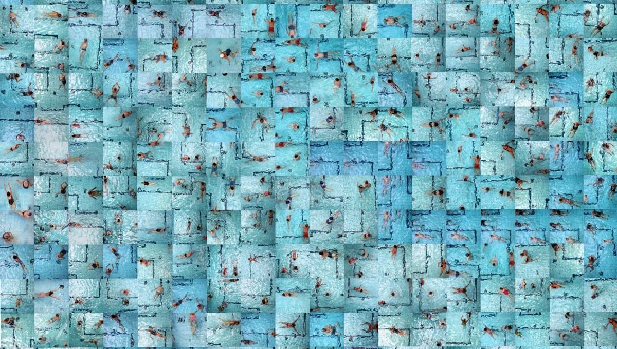 Swimming About © Nancy Lee