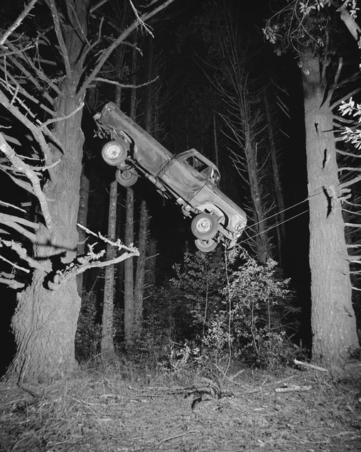 Untitled (Truck in Tree)