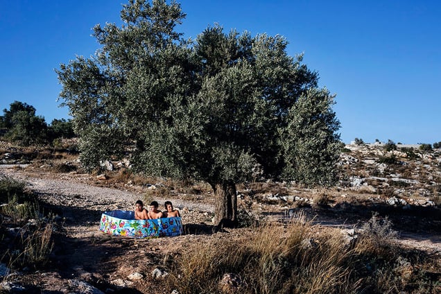 Three little boys splash around in a plastic swimming pool set up under an olive tree in the West Bank, where water flows freely for Israeli settlers but in limited quantities for Palestinians in Kufr Ni`ma.