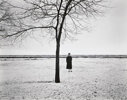 アート・デザイン・音楽 Harry Callahan: The Photographer at Work Harry Callahan: The Photographer at Work - Photographs by