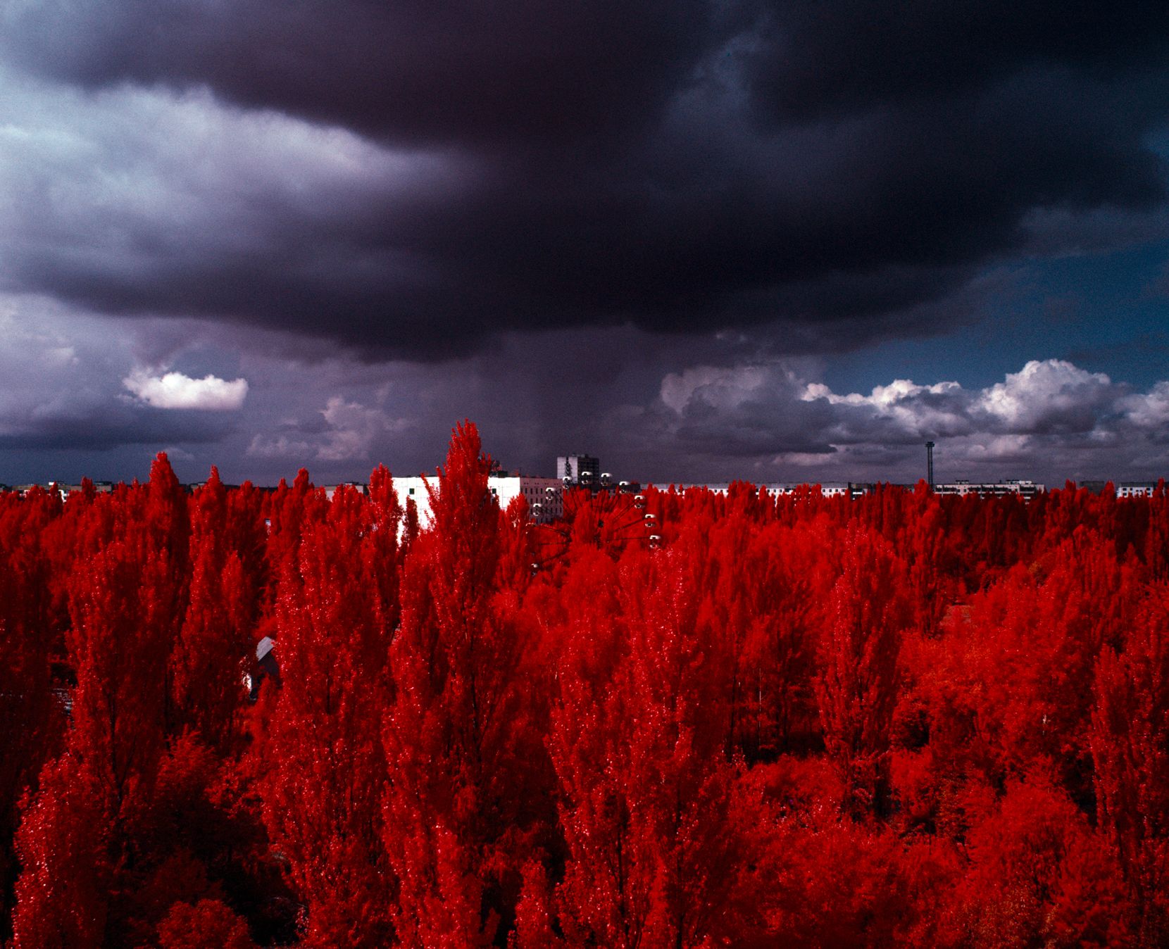 The Unseen: Seeing the World Anew, in Infrared - Photographs by