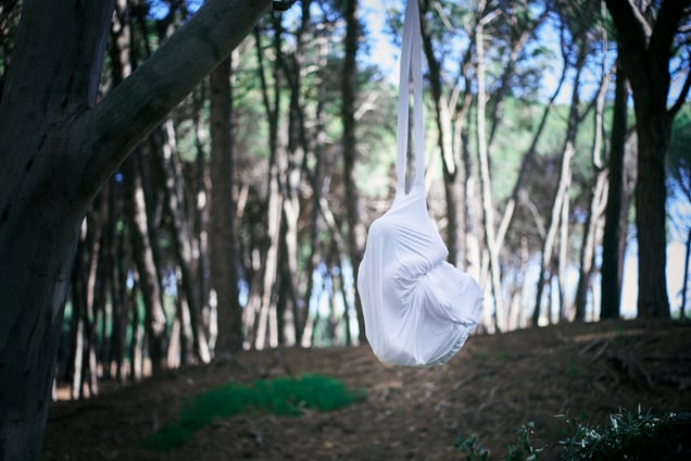 Chrysalis no. 4