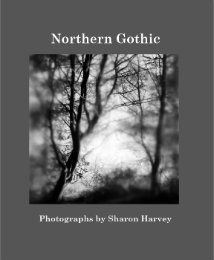 Northern Gothic
