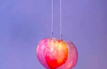 Clay Feet, Photography Competition & Awards