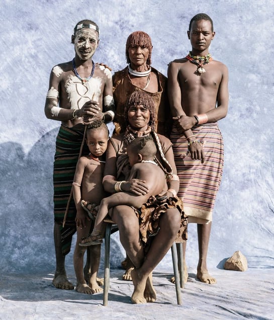 Hamar Family  Fig. VII