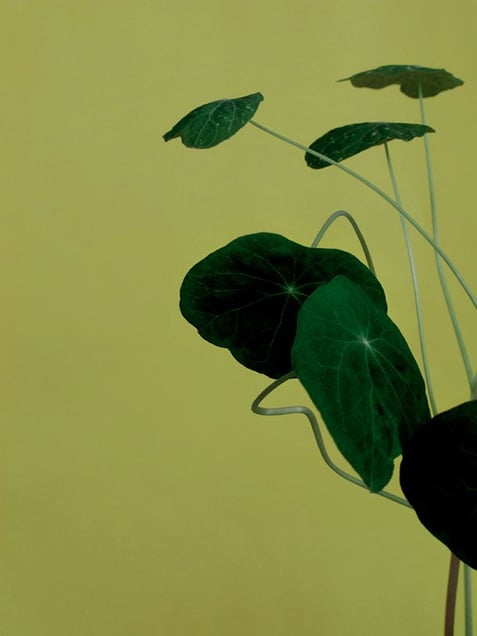 From the Book, The House of Poets © Timo Kelaranta