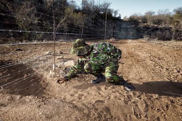 Black Mamba Nkateko checks the fence