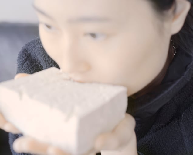 Tofu