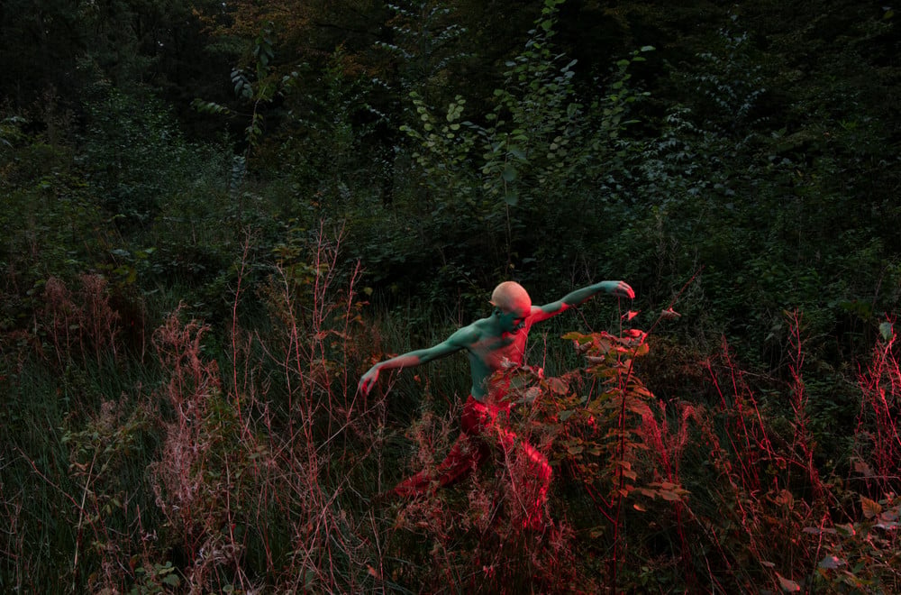 Into The Woods