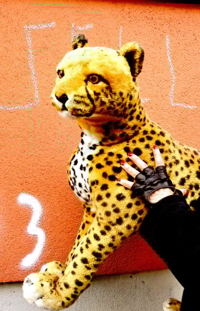 "STUFFED ANIMAL KINGDOM COME" "MÖGE DAS STOFFTIERHIMMELREICH KOMMEN!" or "THE MOTHER OF INTENTION IS HOLDING THE FUTURE DADA NATURE"