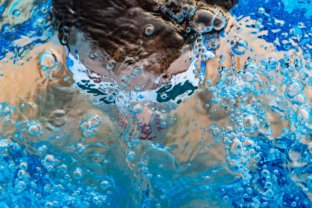 Swimmer 3