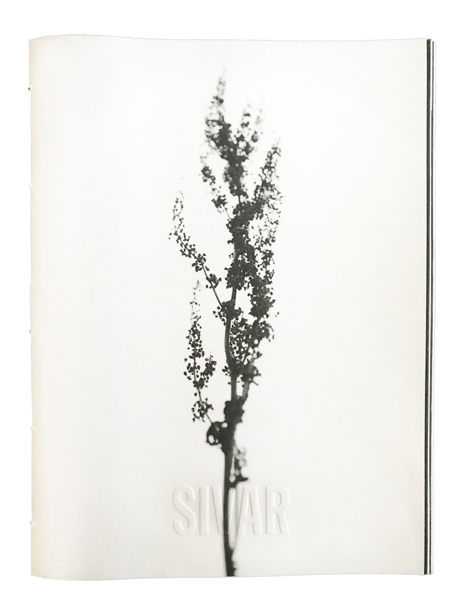 Sivar