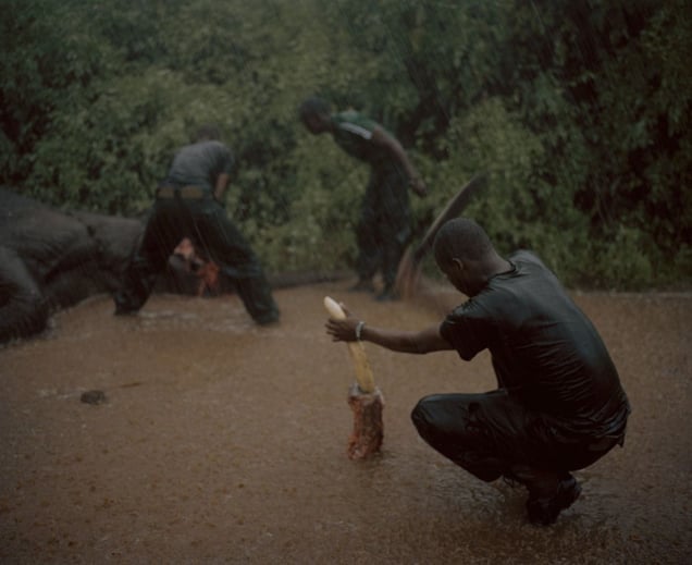 untitled # XII, westgate community conservancy, northern kenya-from the series 'with butterflies and warriors'-David Chancellor