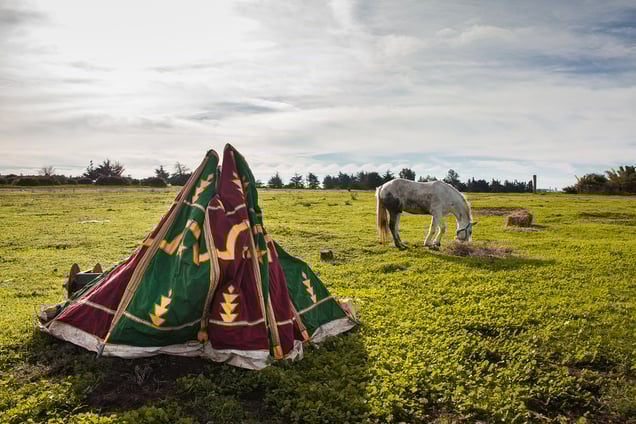 Tales of Moroccan Amazons, 2014