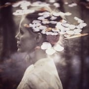 Johanna Liljestrand Rönn