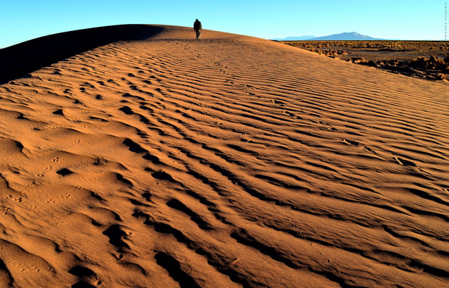 El desierto amarillo