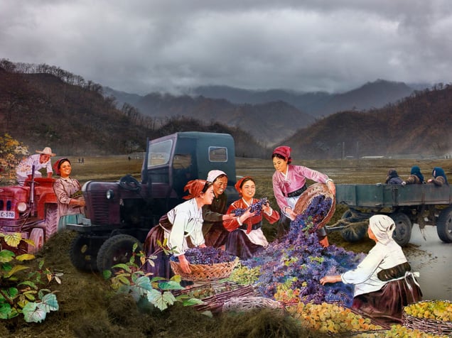 Harvest Time, North Korea, 2013. Courtesy of the artist.