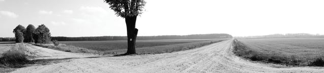 From the series "Ida: Sketches" © Ryszard Lenczewski