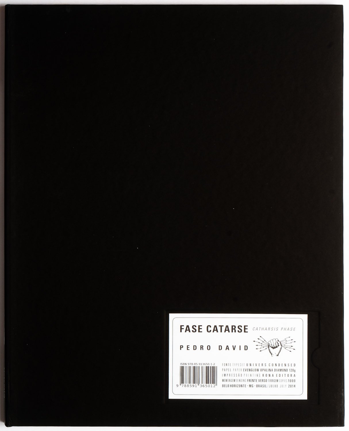 Fase Catarse - Catharsis Phase