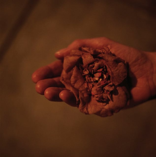 Longing, from the series Still Here © Lydia Goldblatt