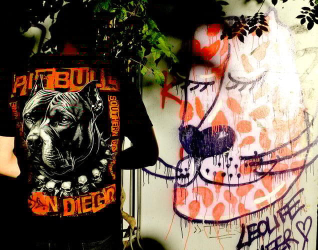 "SANTERÌA SUNSET TRANCE DANCE" or "LIKE A DOG WHO LOST IT'S BITE"