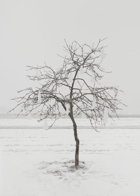 Untitled 01, from the Post series