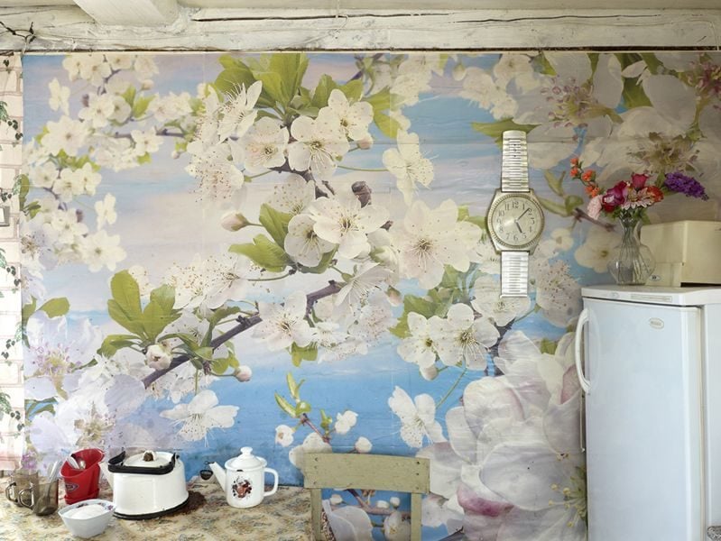Dreaming Walls