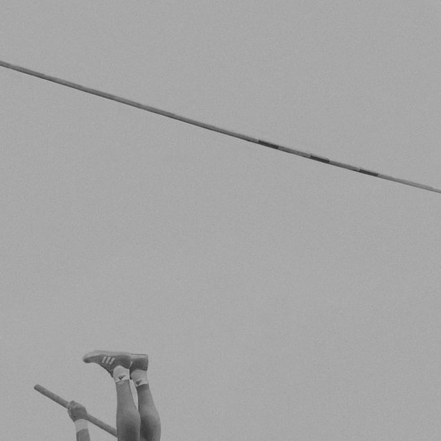 pole vault XI
