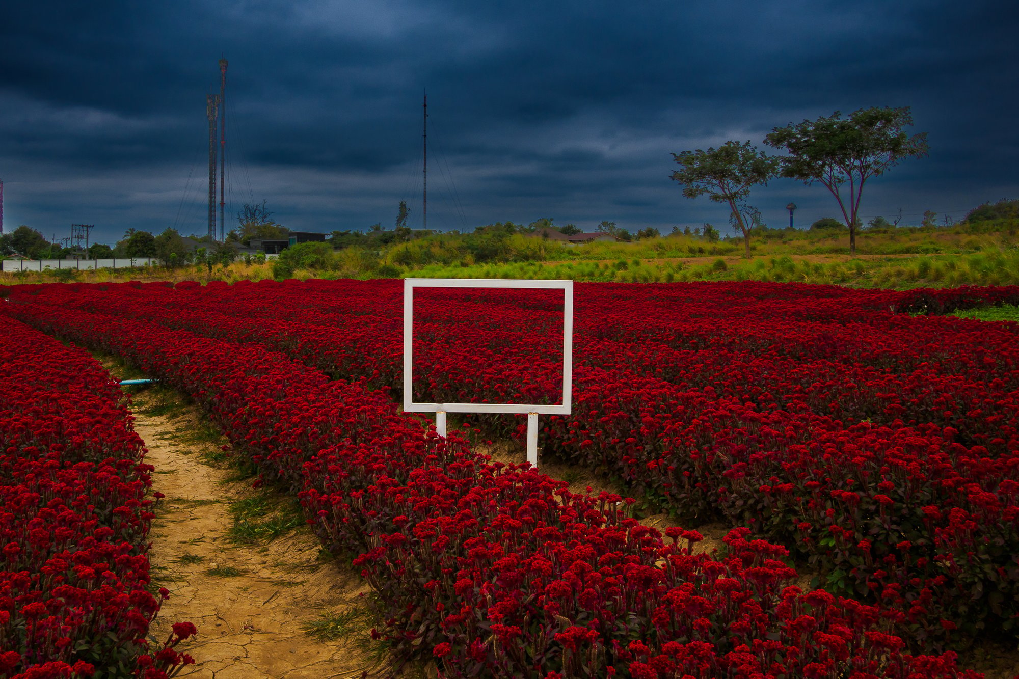 winner of photography awards