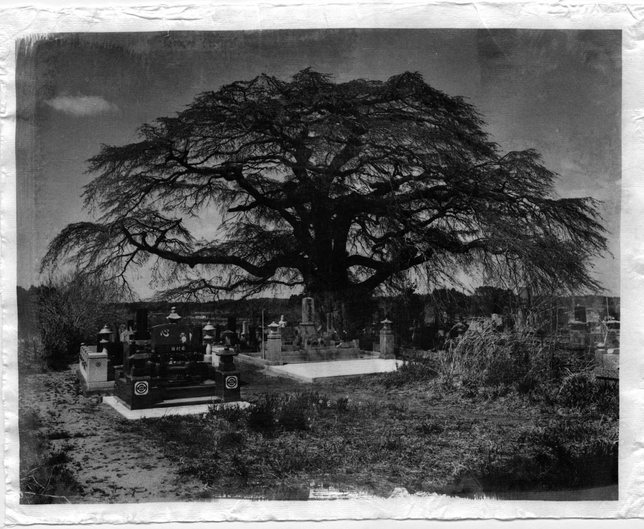 In Silence and In Sorrow - Photographs by Uma Kinoshita | LensCulture