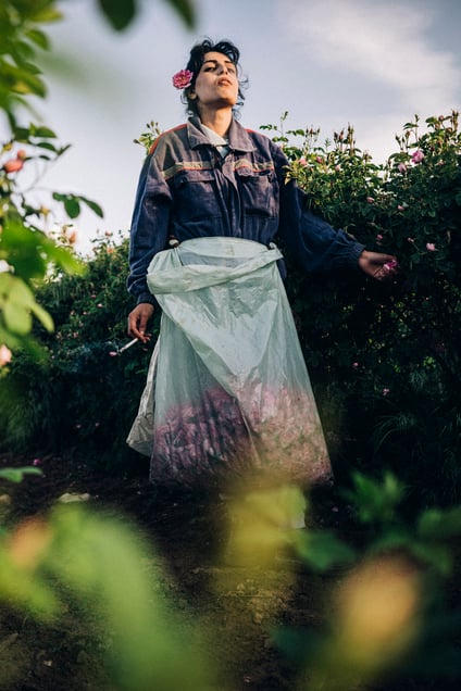 Woman during the rose harvest, Rose Valley, Bulgaria, 2025