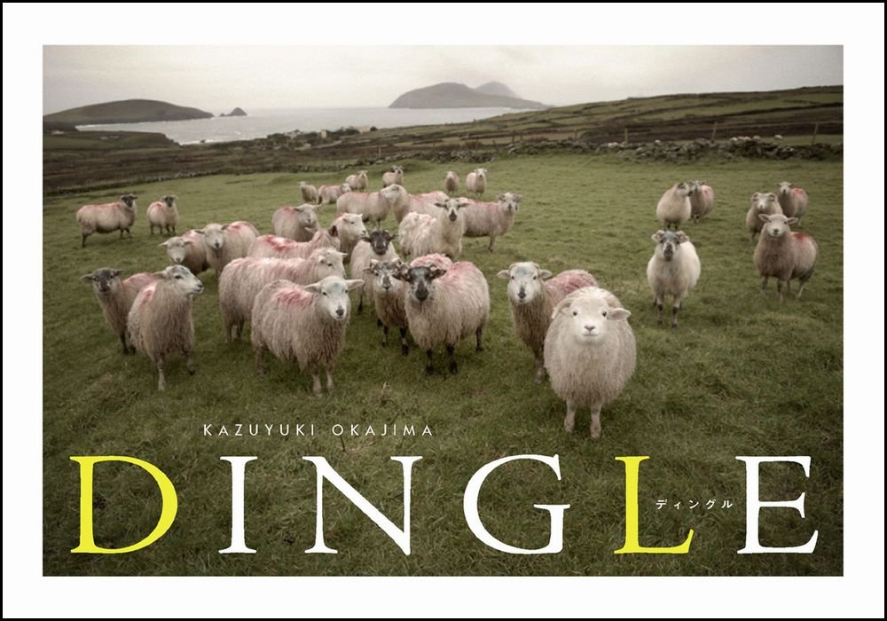 DINGLE
