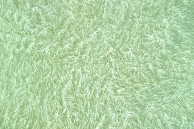 A wet towel (1)