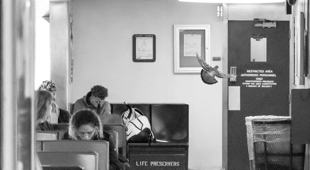 On the Staten Island Ferry