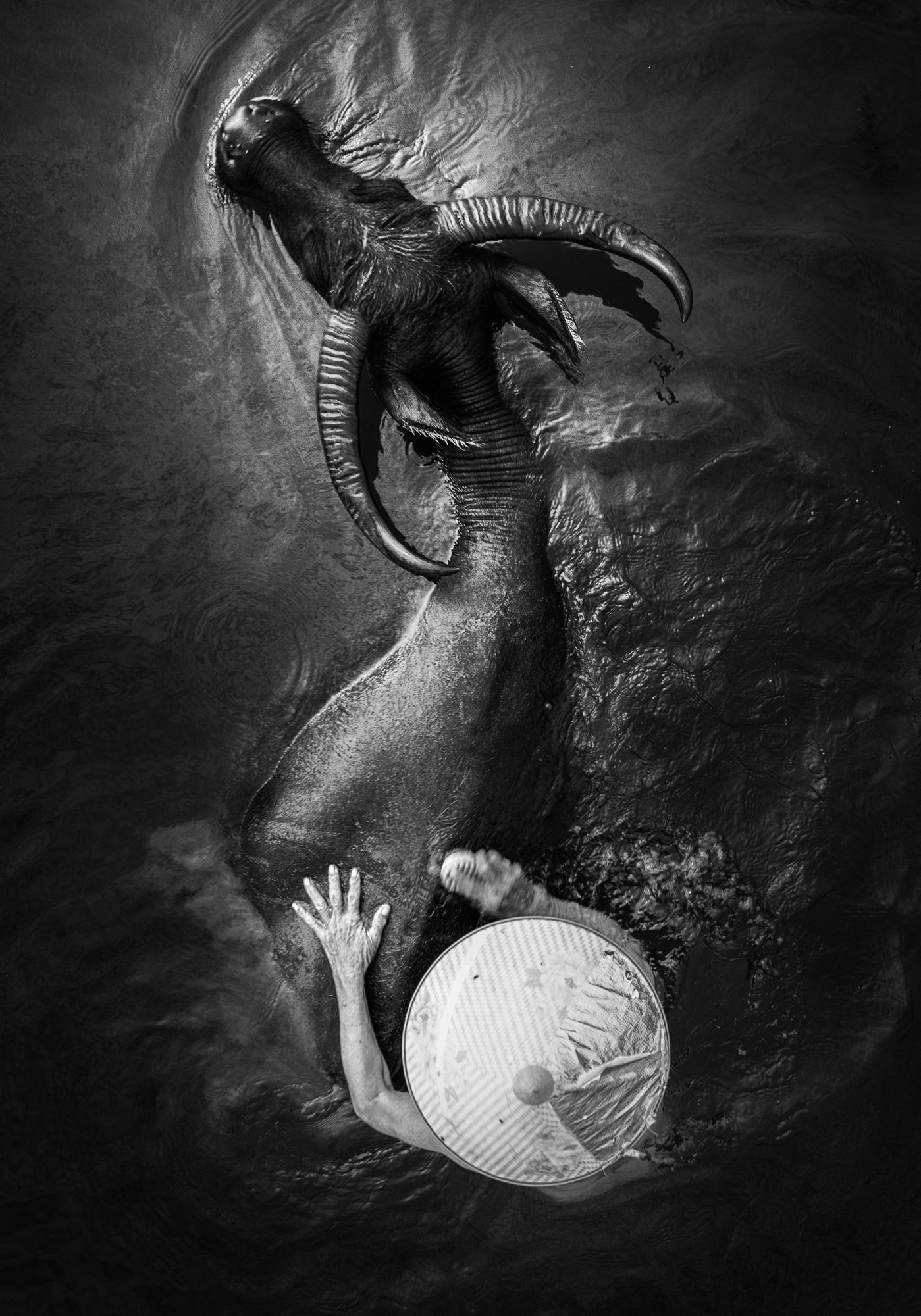 winner of photography awards