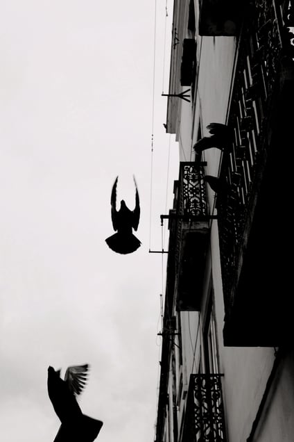 The Departure