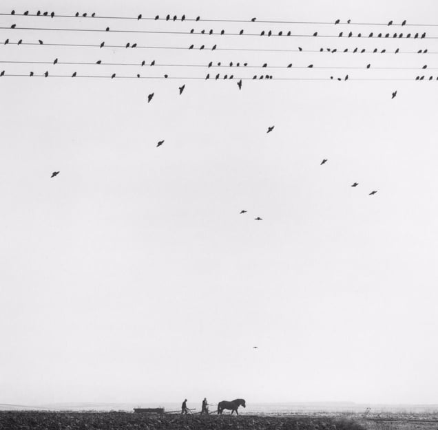 Przevorsk, Puola, Poland, 2005. Showing at The Photographer's Gallery. Courtesy of Photo London.