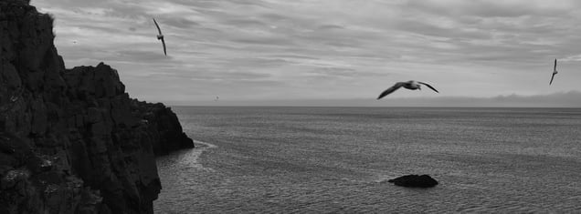 Photograph from A Sense Of Place