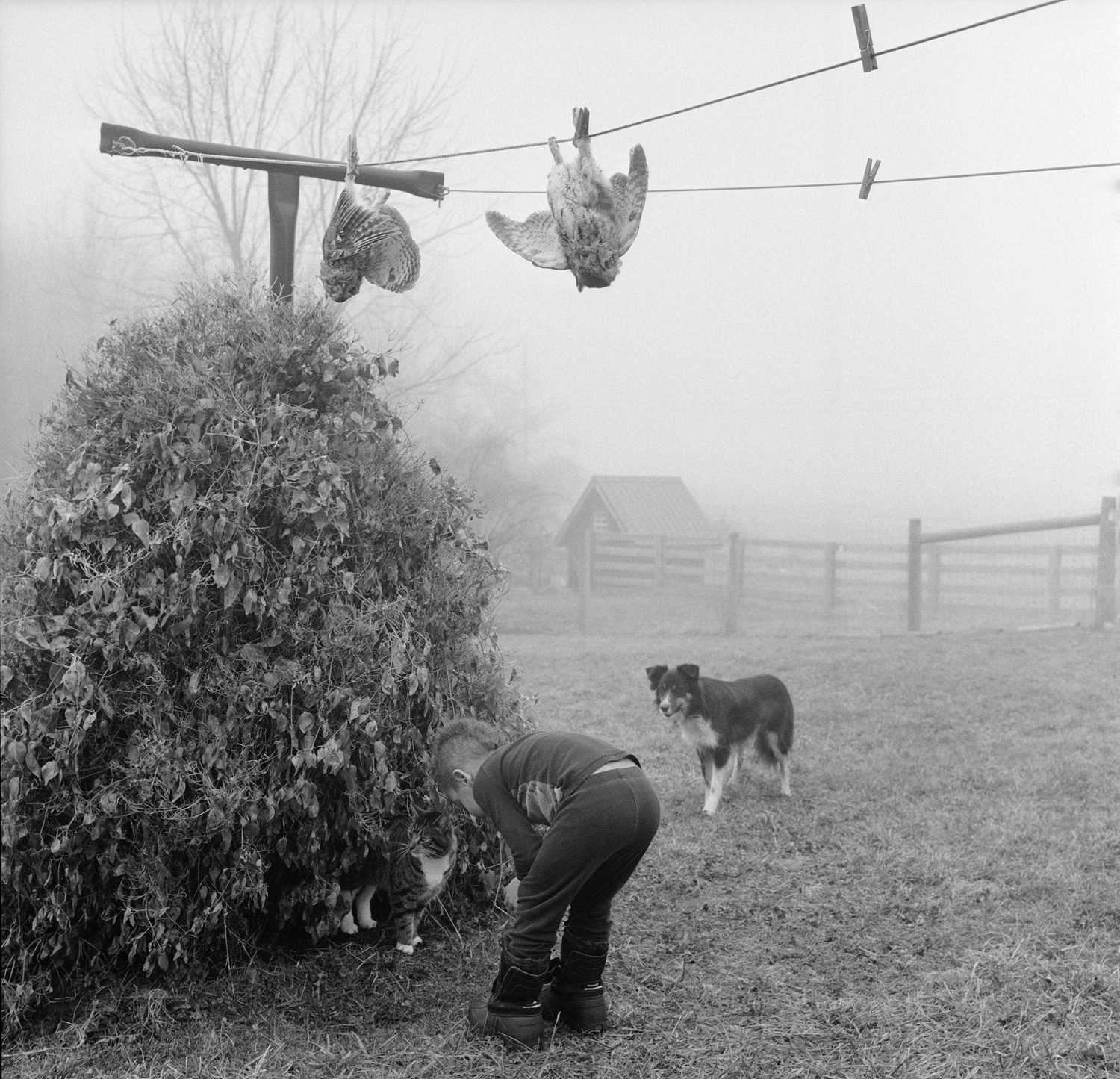 The Seraphim - Photographs by Jesse Lenz | Book review by